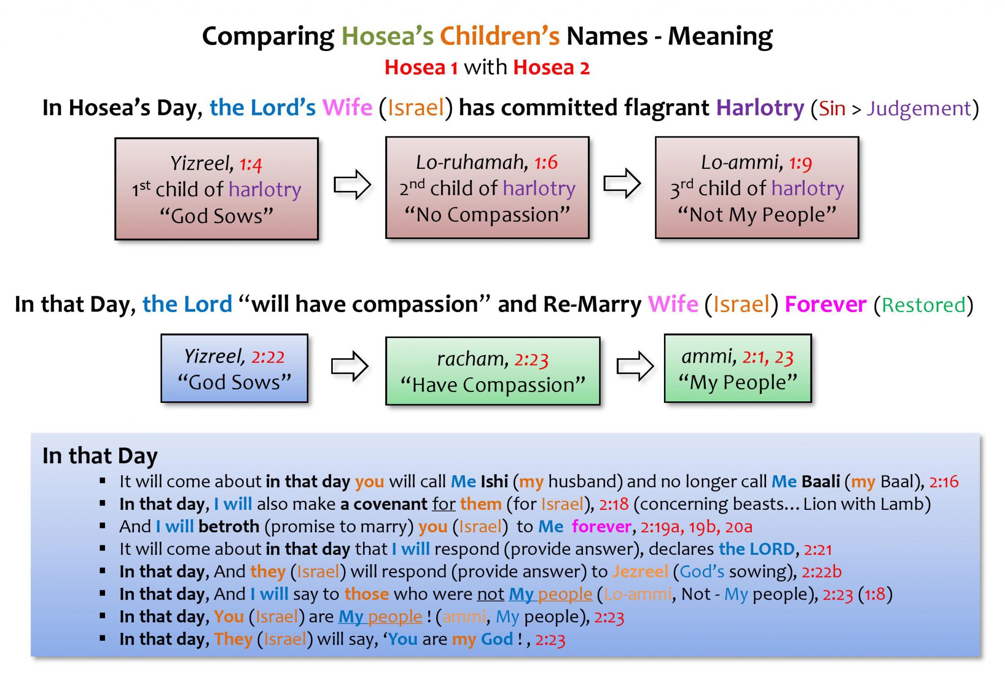 hosea-chart-no-2