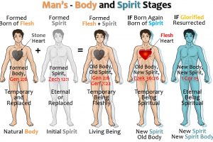 03_MANS - BODY & SPIRIT STAGES