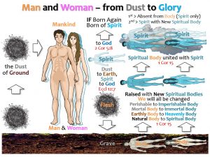 04_MAN AND WOMAN_DUST TO GLORY