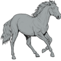 DAPPLE HORSE