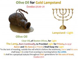 GOLD LAMPSTAND_EXODUS 27_HD